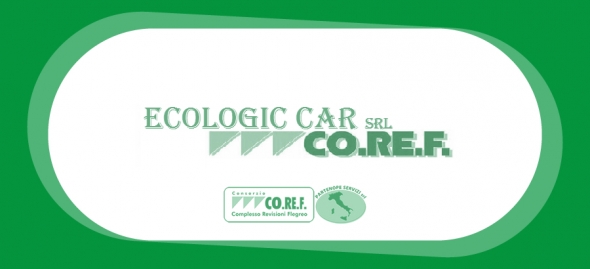 ECOLOGIC CAR