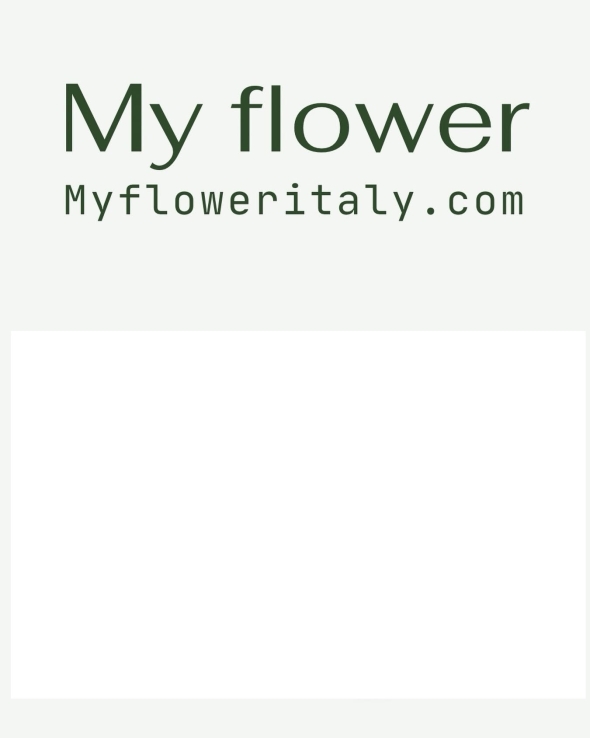 MY FLOWER-Vendita on line botanica servizi accessori