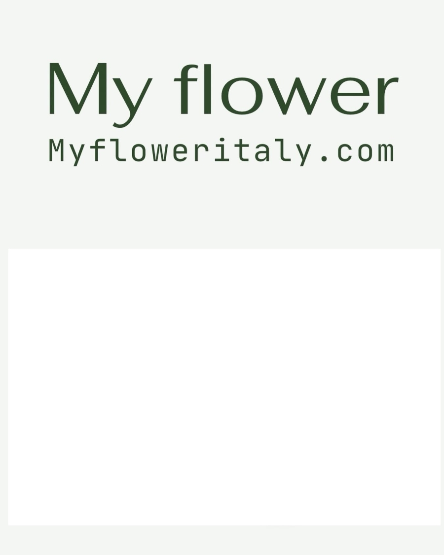 MY FLOWER-Vendita on line botanica servizi accessori