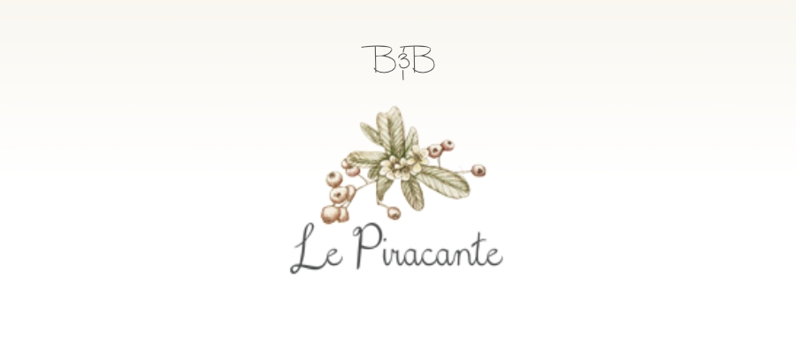 LE PICARANTE B&B- Caiazzo-
